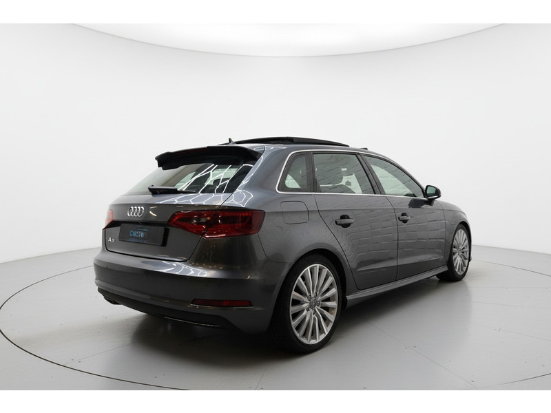 52566129-4.jpg