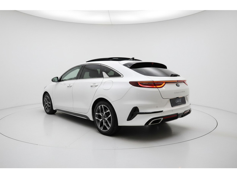 54956512-7.jpg