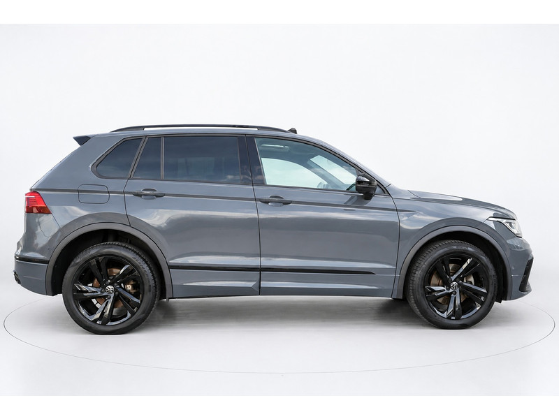 57197481-4.jpg